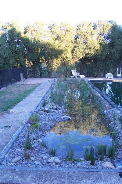 couleur nature piscine zone regeneration
