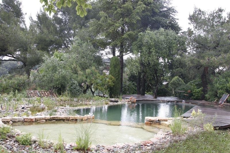 couleur nature piscine transformation piscine pataugeoire