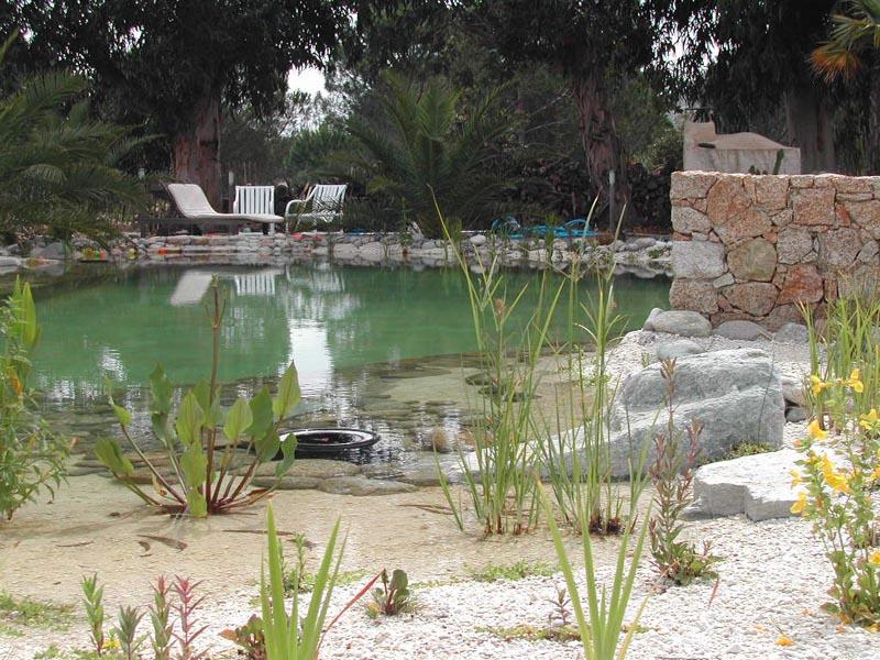 piscine écologique en Corse - Couleur Nature