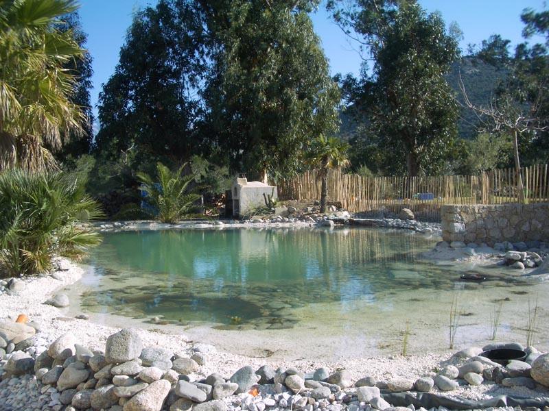 couleur nature piscine bassin naturel pierres calvi corse 2