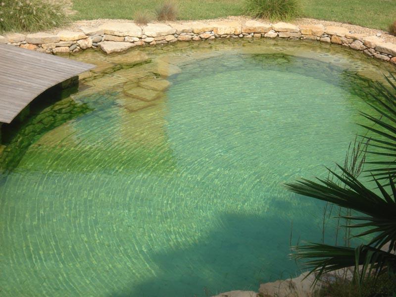 couleur nature piscine bassin naturel pierres frejus var 83