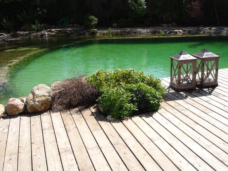 couleur nature piscine bassin naturel pierres grimaud var 83 1
