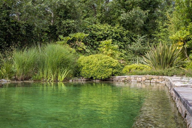 couleur nature piscine bassin naturel pierres grimaud var 83 2