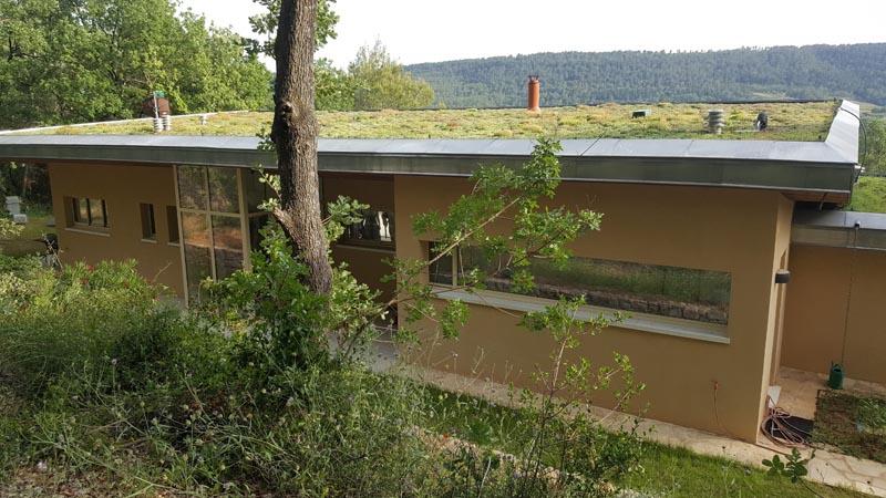 couleur nature piscine toit vegetalise sedums salernes var 83 1