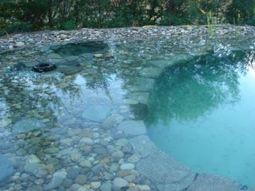 Un bassin naturel à Fréjus
