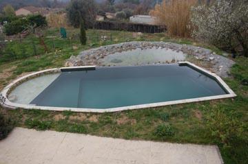La piscine naturelle et sa régénération fin du premier hiver