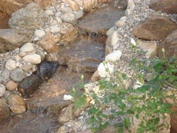 Cascade en pierres reliant le bassin à la filtration