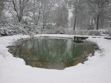 Que se passe t-il pour le bassin naturel en hiver ?