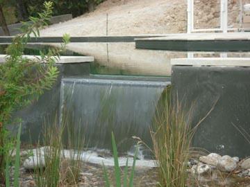 Une piscine naturelle en Provence Verte