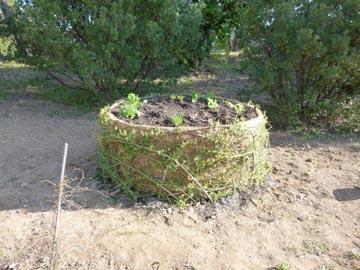 Un apport de compost biologique