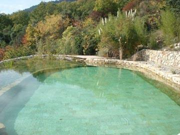 piscine écologique à Seillans (Var)