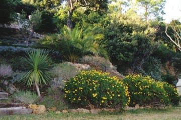 Quelles plantes pour un jardin en méditerranée ?