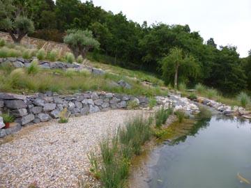 Création d'un étang à poissons avec cascade à La Garde Freinet