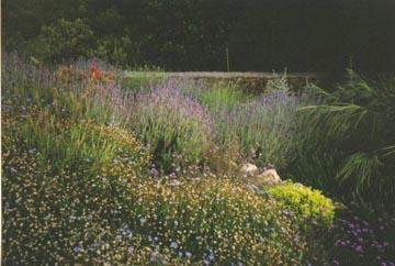 Quelles plantes pour un jardin en méditerranée ?