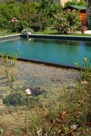 Piscine naturelle à débordement à Vence (06)