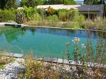 Piscine naturelle pour des gîtes à Grimaud, Golfe de St Tropez