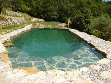 piscine écologique à Montauroux (83)