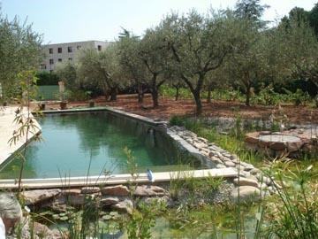 Piscine naturelle à La Farlède (Var)