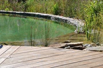 Piscine naturelle au Lavandou (Var)