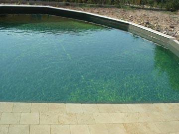 Une piscine naturelle au Muy