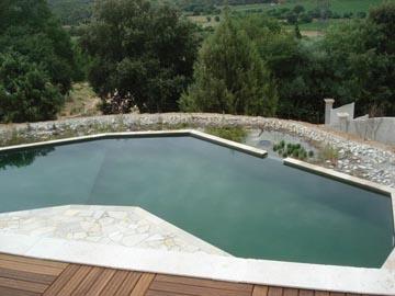 Piscine écologique à Cabasse, Provence Verte (Var)