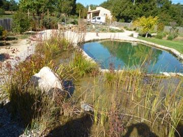 Piscine écologique à Saint Martin de Pallière (Var)