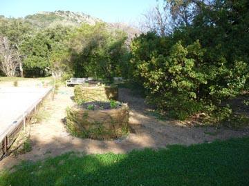 Potagers bordant le terrain de boules