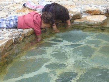 Les piscines naturelles créees en 2012