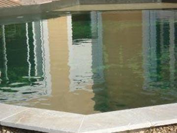 Une piscine naturelle au Muy Var