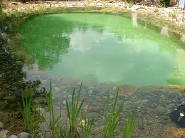 Bassin naturel dans la région de Grasse (06)