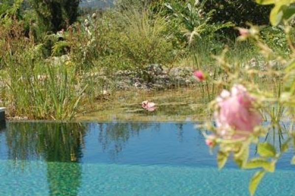 Piscine naturelle à Vence