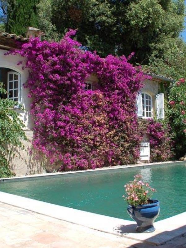 Rénovation d'une piscine à Tourettes sur Loup
