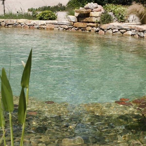 Bassin naturel à Fréjus