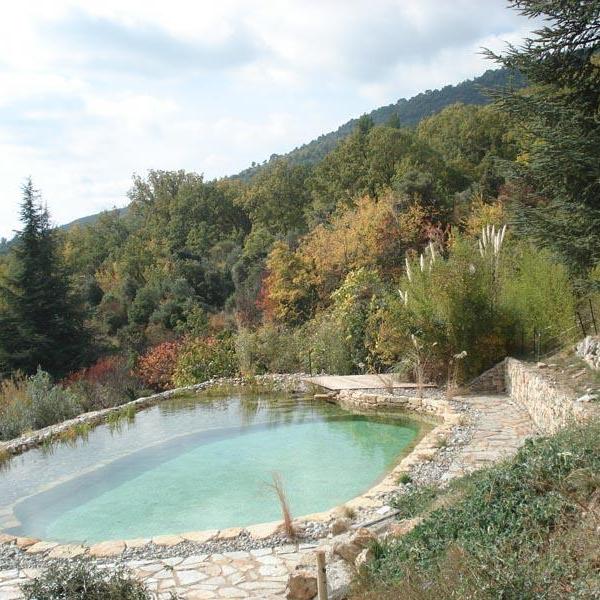 Bassin naturel à Seillans