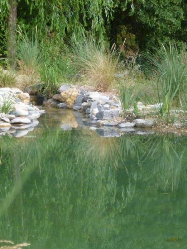 Grand bassin à poissons à la Garde Freinet