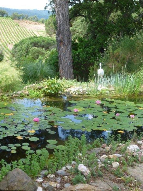 Bassin à poissons à Grimaud