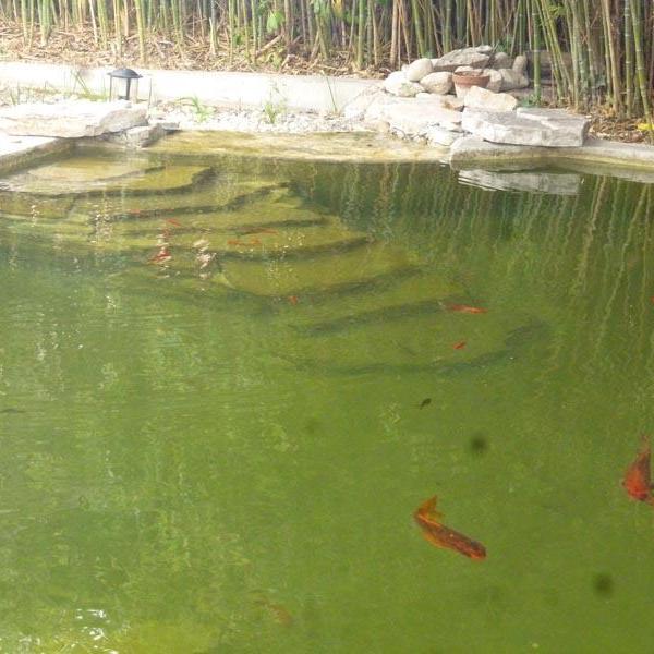 Bassin à poissons à Marignane