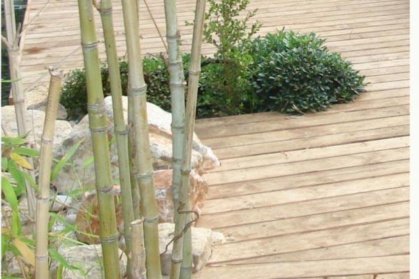 Terrasse en bois de pin