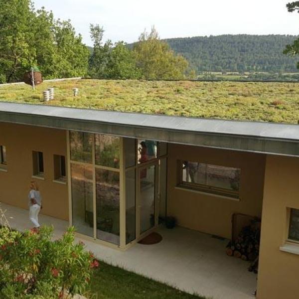 Toit végétalisé en sedum à Salernes