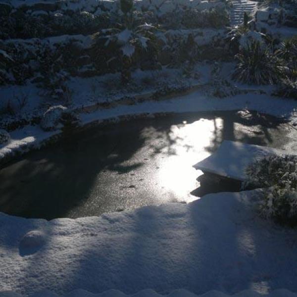 Bassin naturel en hiver à Fréjus