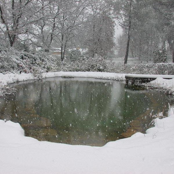Bassin naturel en hiver à Mouans Sartoux