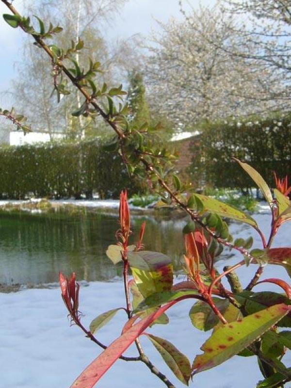 Bassin naturel en hiver à Paris