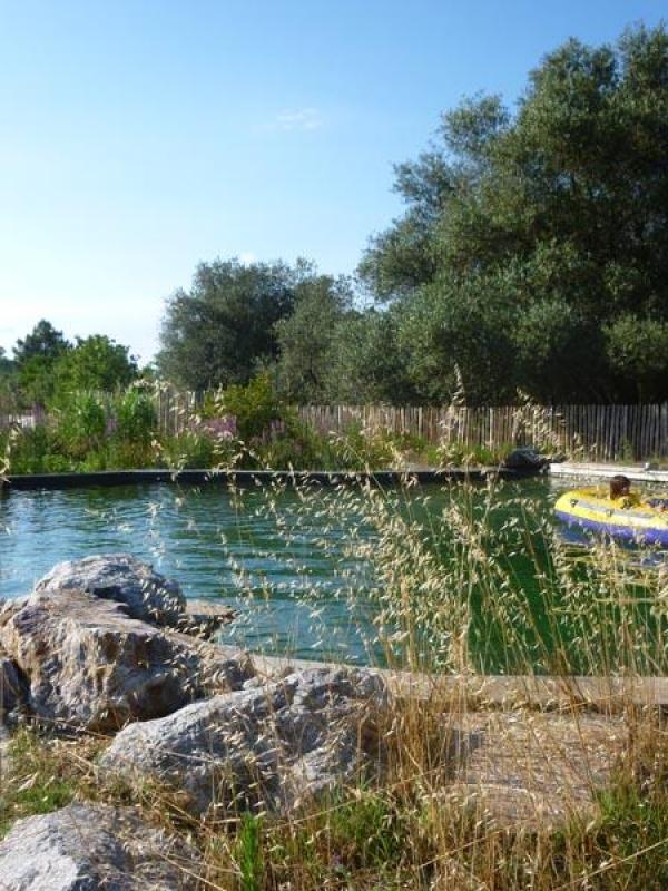 Bassin naturel à la Garde Freinet