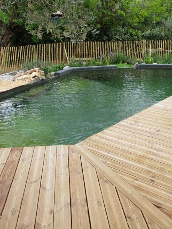 Piscine naturelle à Draguignan - 2