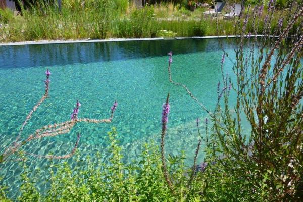 Piscine naturelle à Grimaud