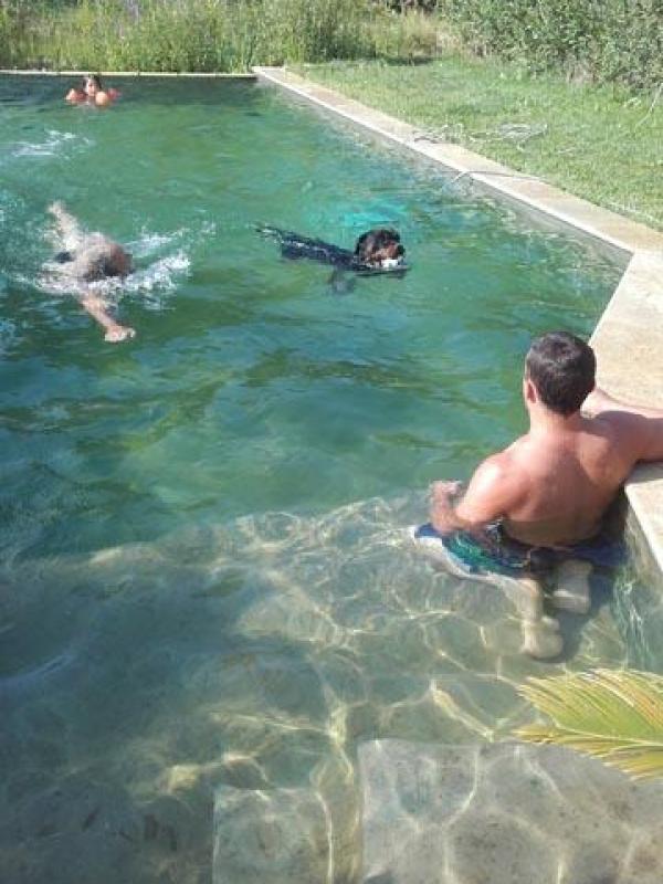 Piscine naturelle aux Arcs sur Argens